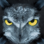 Night breed 2012, Snik, yellow edition Stencil on cardpaper Owl Artwork