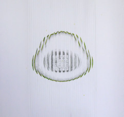guacamole-2011-ludo-65x66cm-graphiteoil-on-paper-800-euros-copy