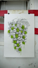 Grapes of Wrath, 2011, Ludo, 70x100cm, graphite/oil on paper, artwork,