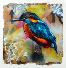 Kingfisher 2012, Snik, Stencil on cardboard POA Artwork