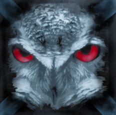 Night breed, 2012 Snik, red edition Stencil on cardpaper Owl Artwok